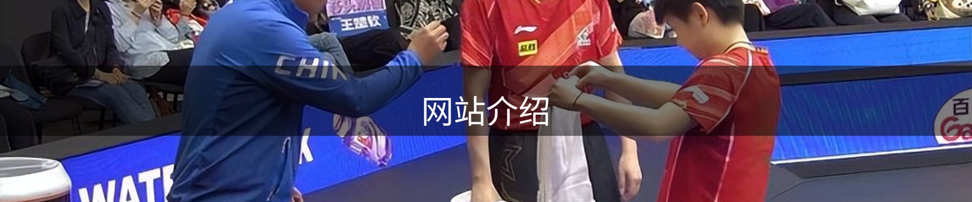 网站介绍